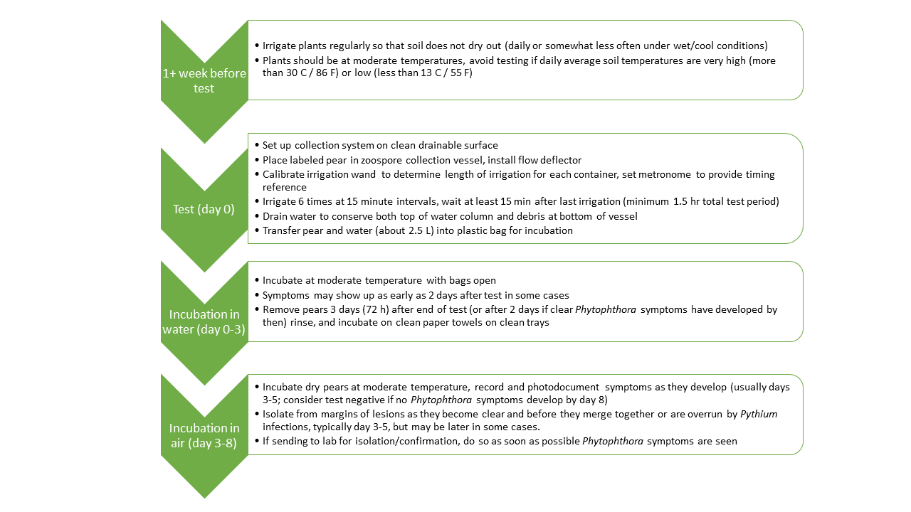 timeline for bench test